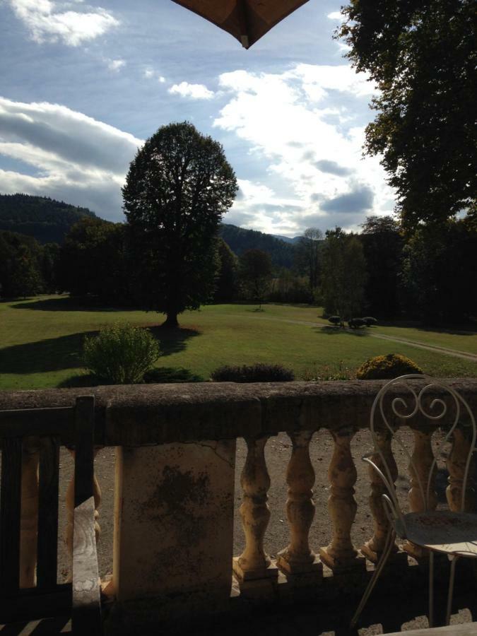 Chateau Du Val Larbont La Bastide-de-Serou Екстер'єр фото