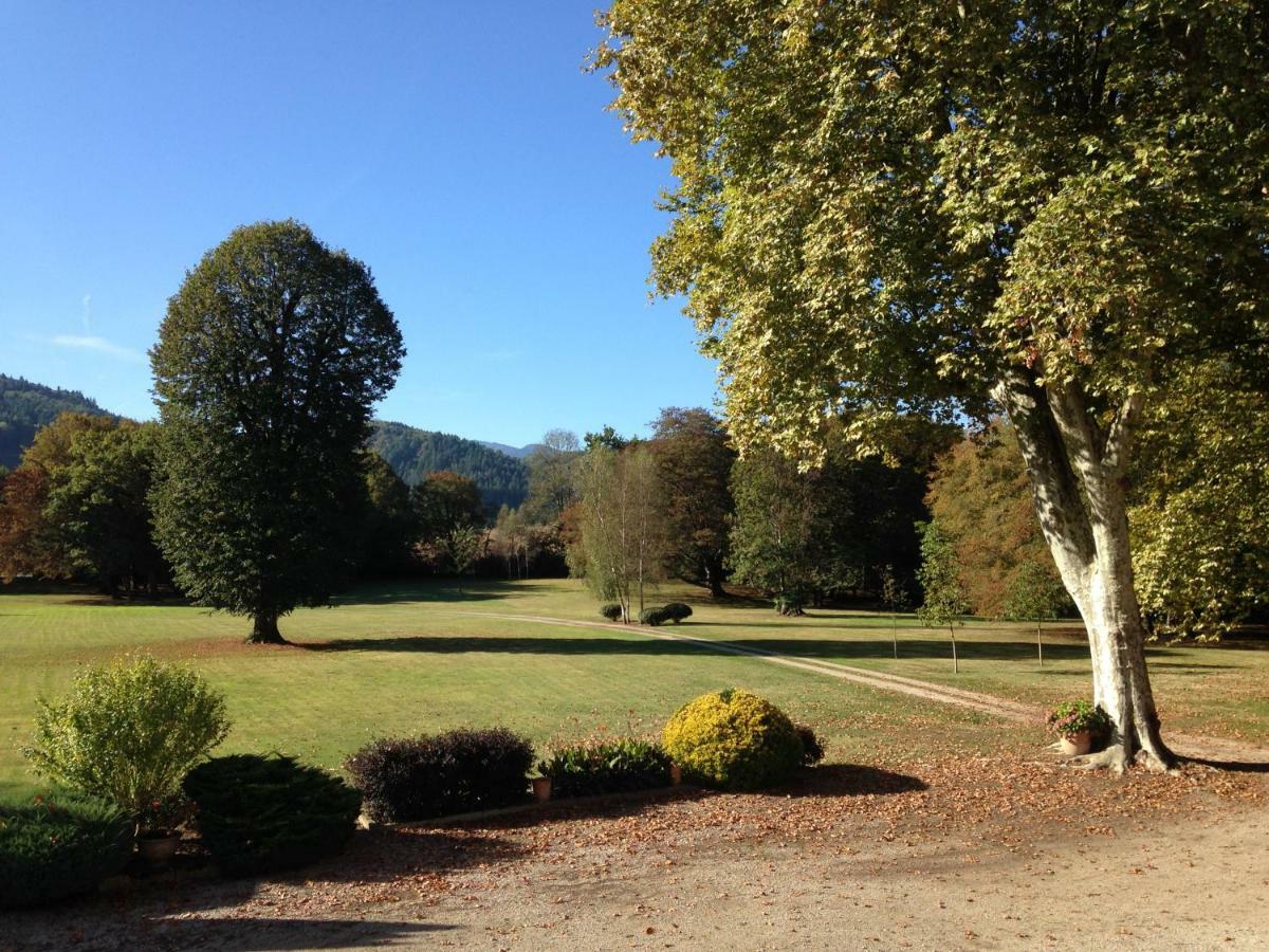 Chateau Du Val Larbont La Bastide-de-Serou Екстер'єр фото